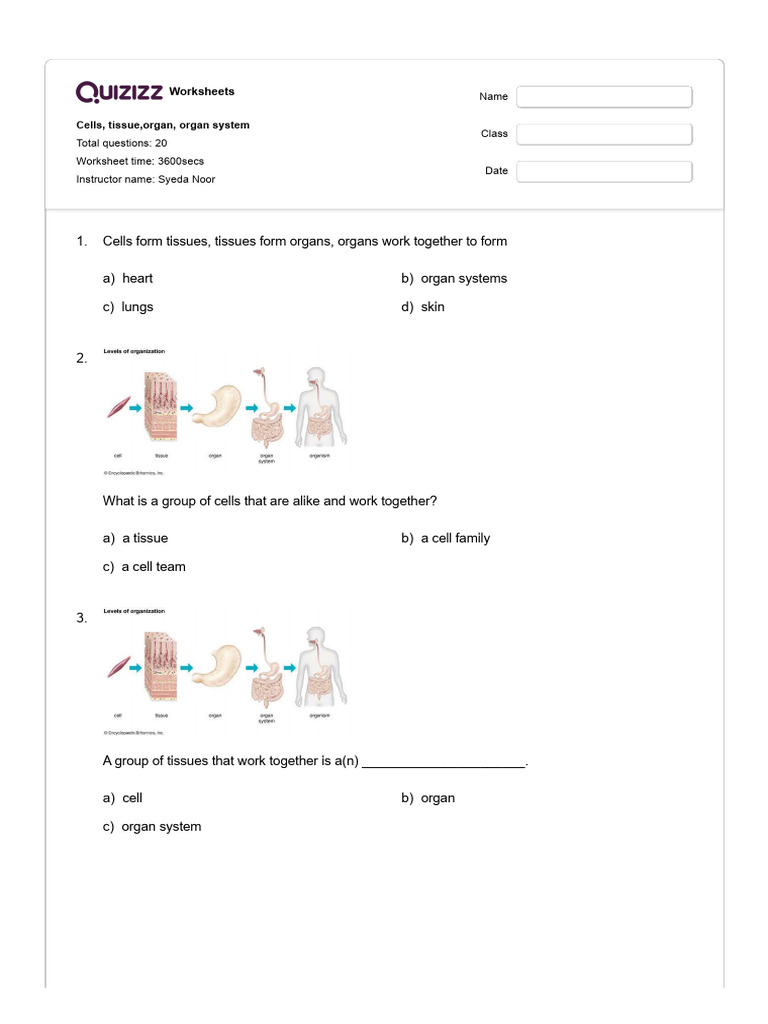 Cells, Tissue, Organ, Organ System | PDF | Respiratory System | Human Body