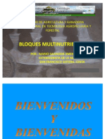 Bloques Multinutrientes