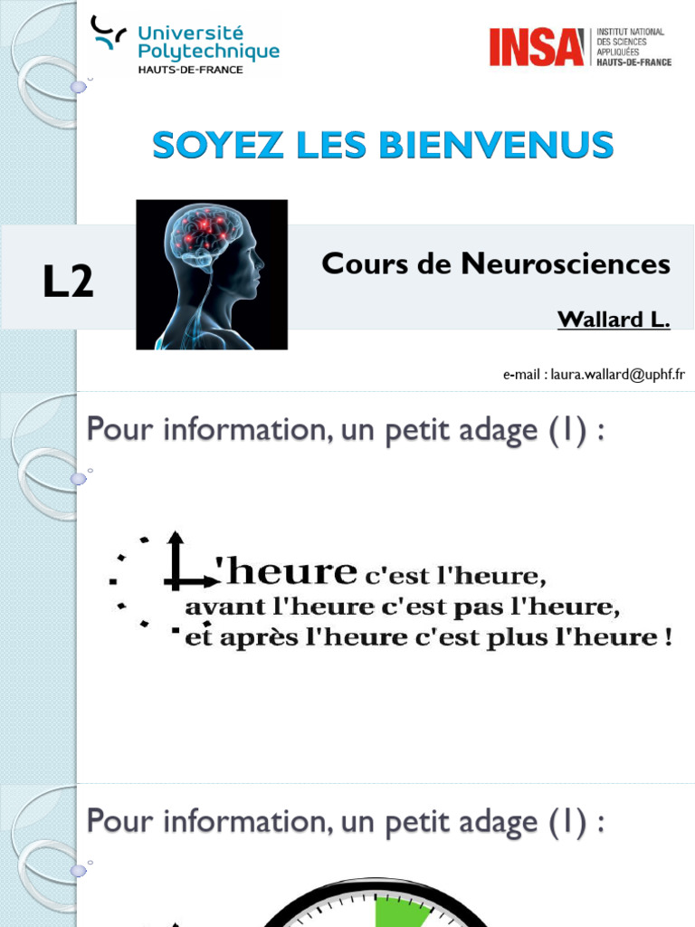 Cours de Neurosciences en Fiches PDF | PDF | Neuroscience | Cerveau