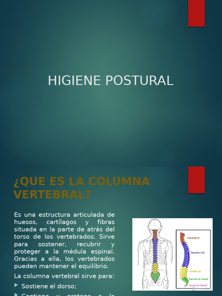 HIGIENE POSTURAL | PDF | La columna vertebral | Dolor lumbar