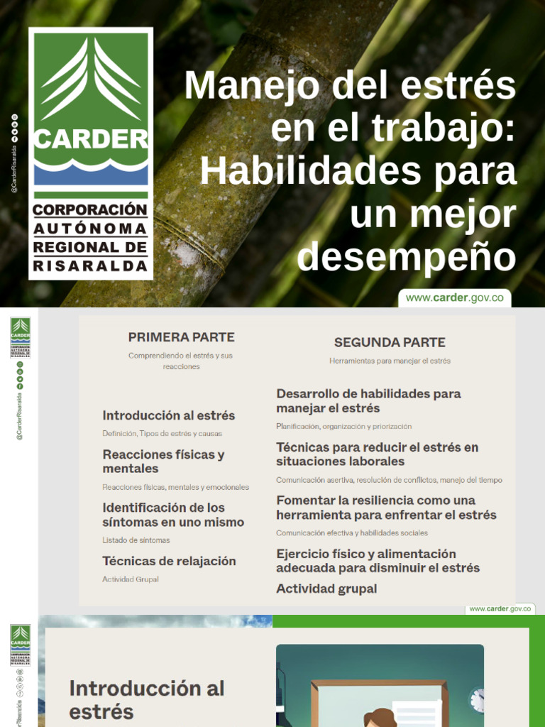 Manejo Del Estrés en El Trabajo Habilidades para Un Mejor Desempeño | PDF
