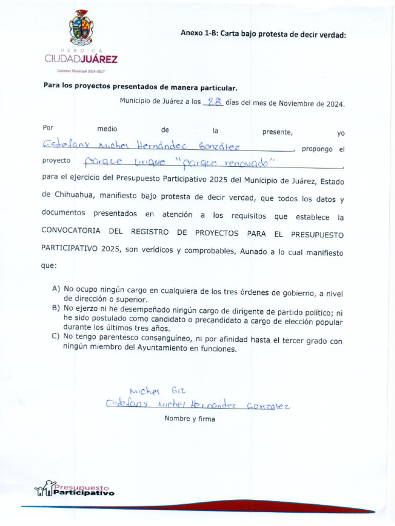 CARTA BAJO PROTESTA FERNANDEZ | PDF