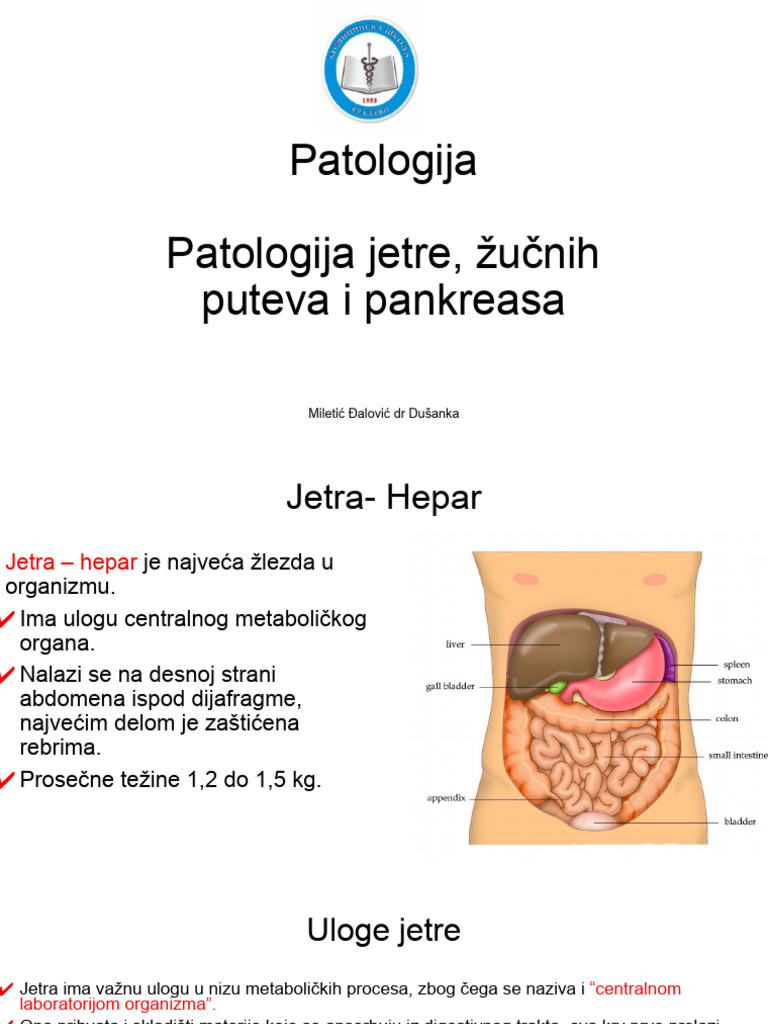 Patologija Jetre | PDF