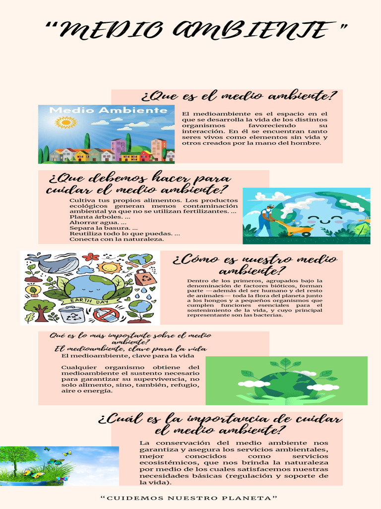 Importancia del Medio Ambiente y Su Cuidado | PDF | Entorno natural | Vida