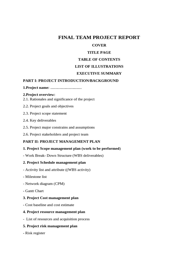 FINAL TEAM PROJECT REPORT - TEMPLATE | PDF