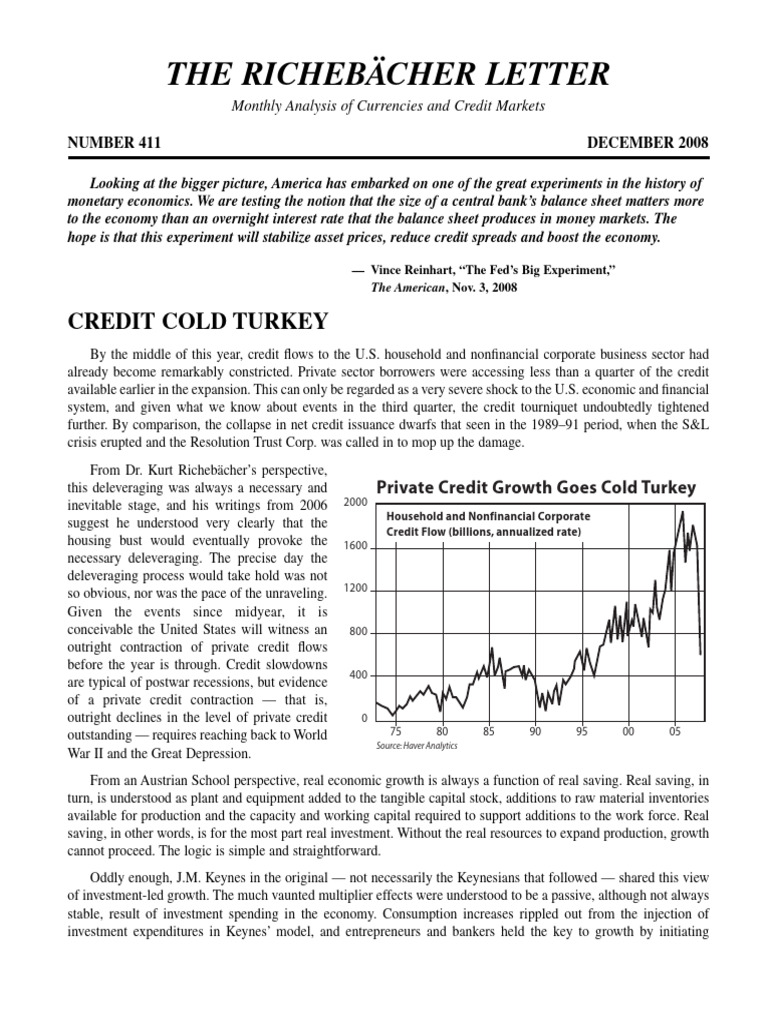 411 - The Richebacher Letter - December 2008, Credit Cold Turkey | PDF ...