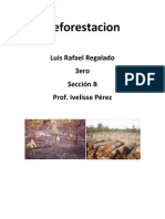 Deforestacion