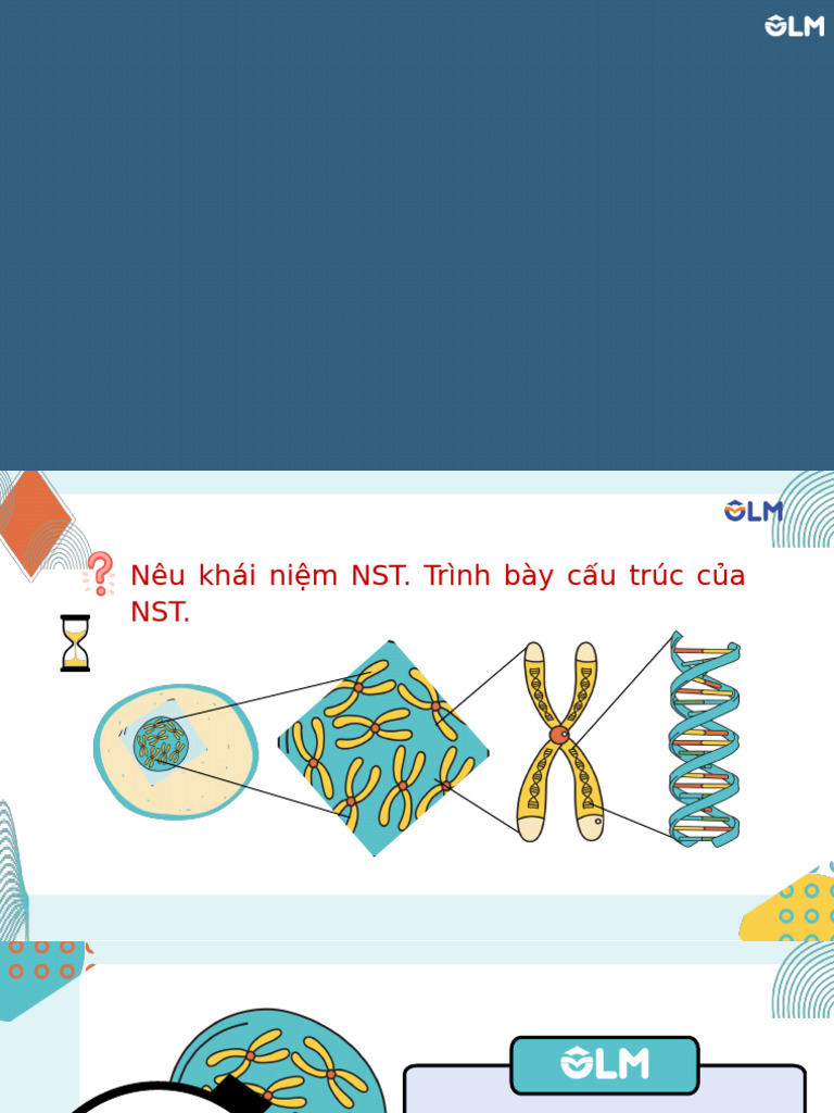 Bài 42. NST Và B NST (p2) | PDF