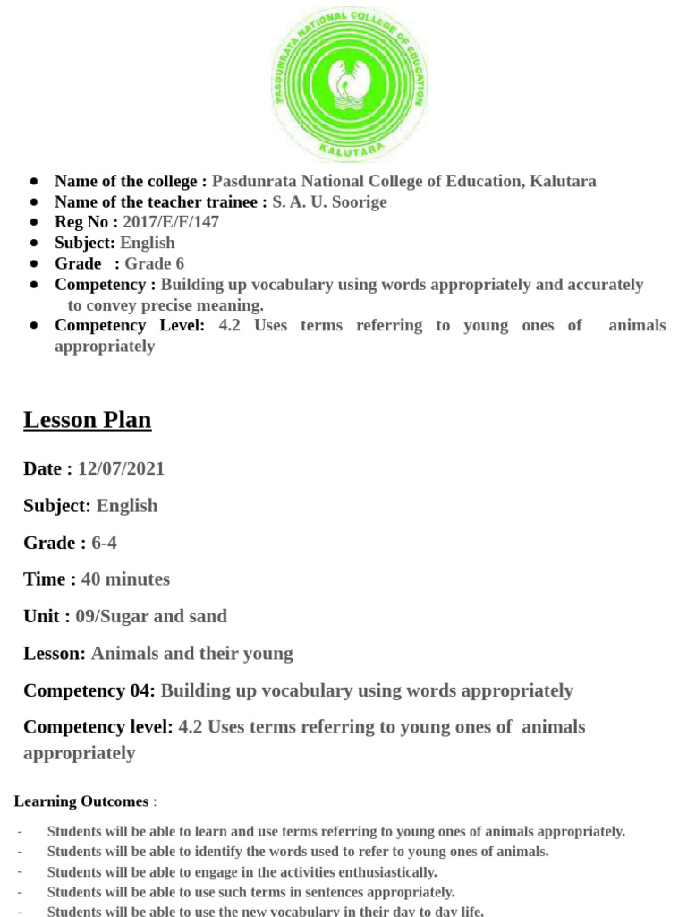 Viva Presentation Pdf Teachers Vocabulary