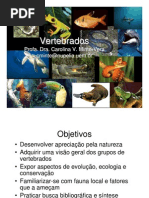 Aula1 Intro Vertebra Dos