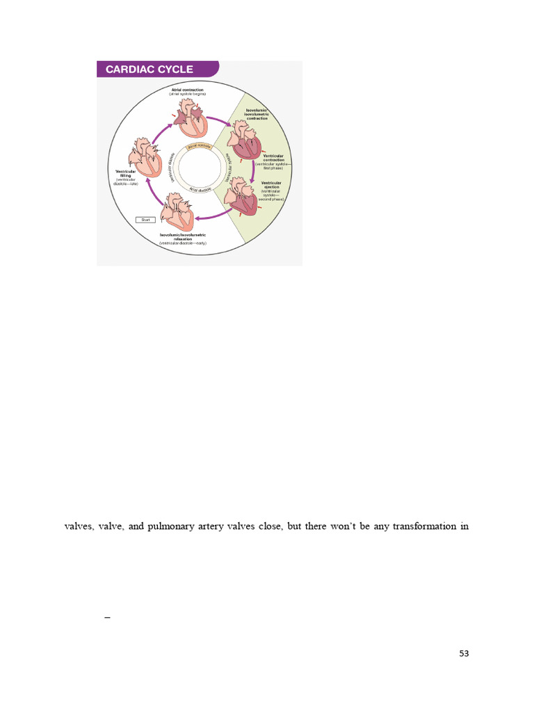 Human Anatomy and Physiology Notes-53-73 | PDF | Heart Valve ...