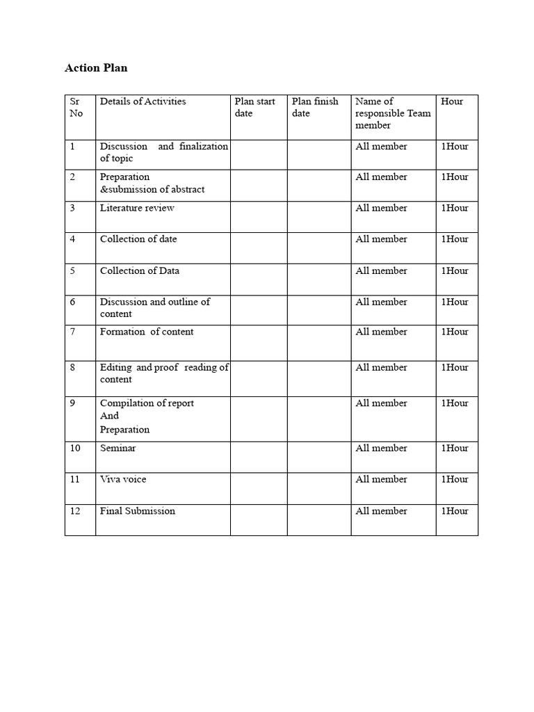 Action Plan | PDF | Software Testing | Usability