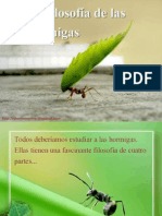 La Filosofia de las Hormigas