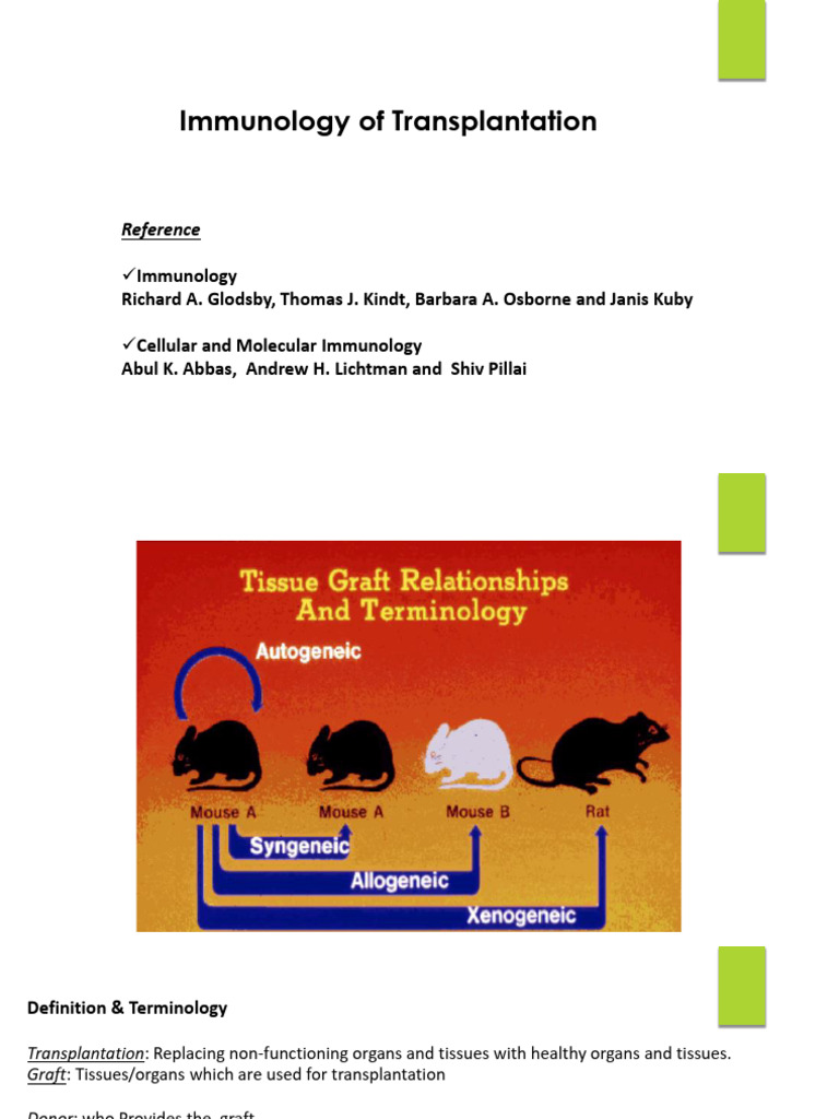 Transplant Immunology Overview | PDF | Transplant Rejection | Major ...