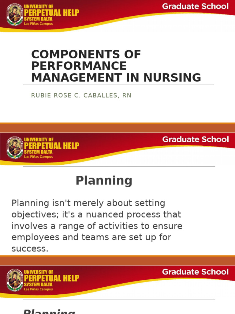COMPONENTS OF PERFORMANCE MANAGEMENT IN NURSING | PDF | Performance ...