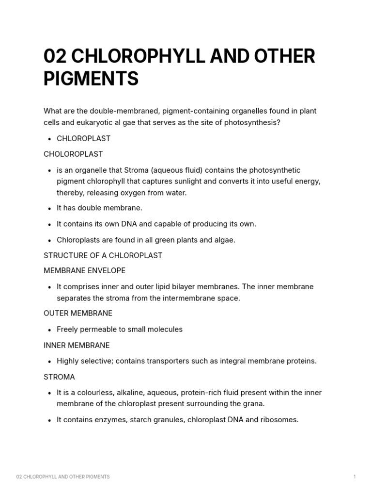 Chloroplasts and Plant Pigments Explained | PDF | Chloroplast ...
