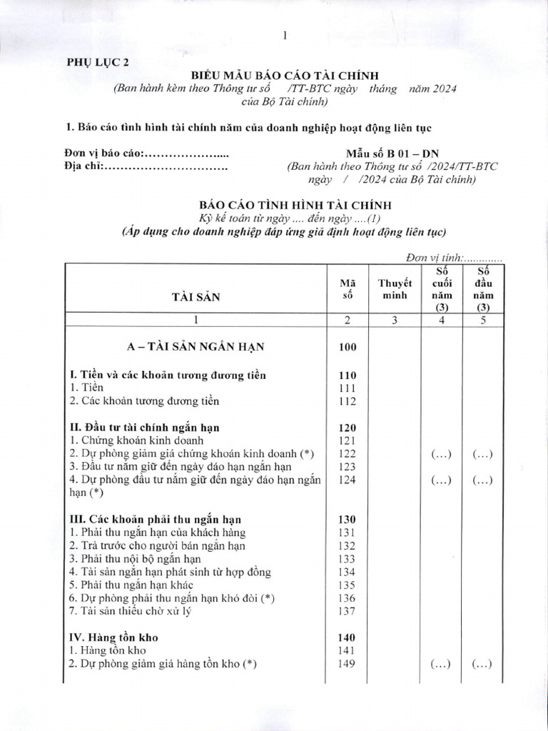 Phu Luc 2 Bieu Mau Bao Cao Tai Chinh 20240605151347 | PDF