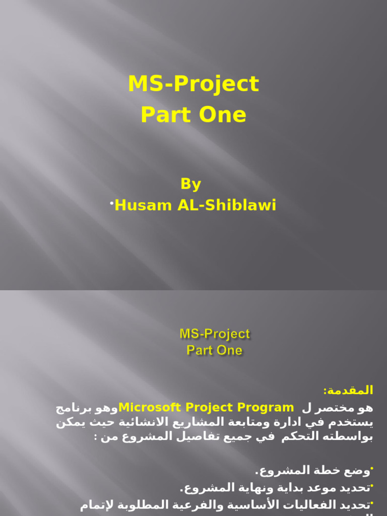 1 MS - Project Part 1 | PDF