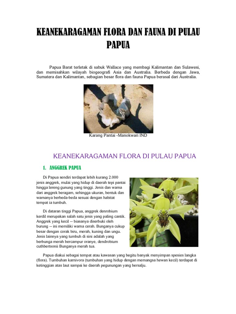 Unduh 93 Koleksi Gambar Flora Dan Fauna Di Pulau Papua Keren Pixabay Pro