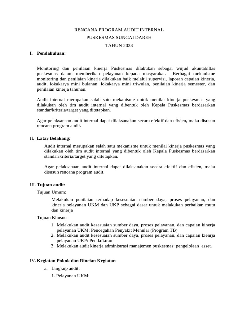 1.6.3 RENCANA-PROGRAM-AUDIT-INTERNAL-PUSKESMAS-TAHUNAN-Copy-docx | PDF