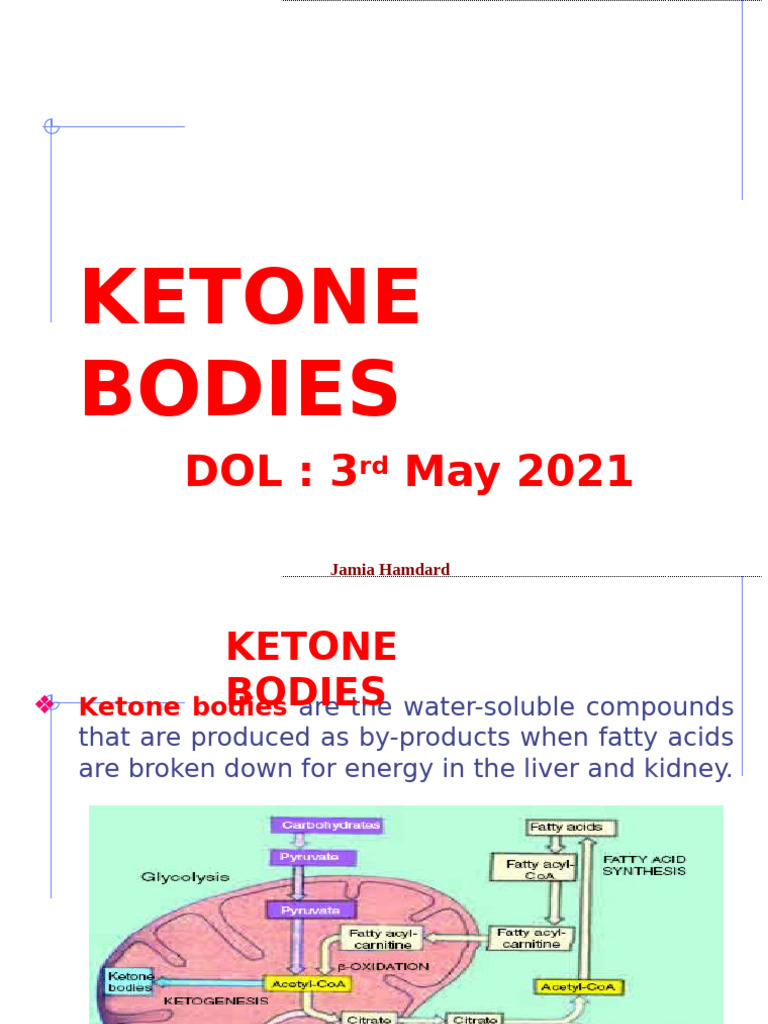 Ketone Bodies | PDF | Pyruvic Acid | Citric Acid Cycle