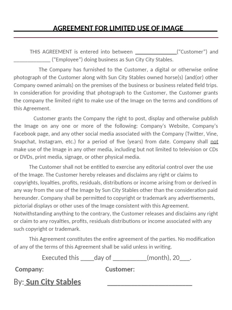 Imagerights Agreement | PDF