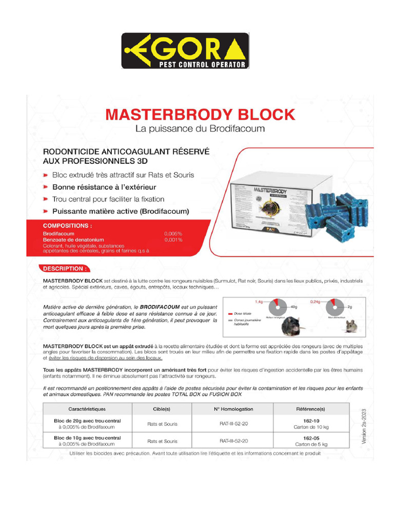 Fiche de sécurité MASTERBRODY BLOCK | PDF