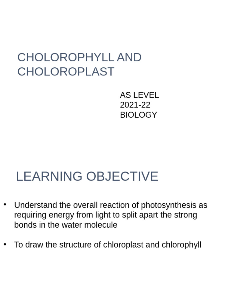 chloroplast | PDF | Chloroplast | Photosynthesis
