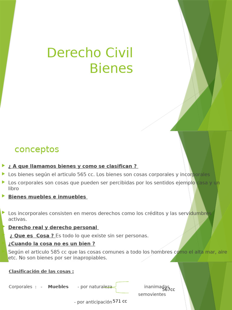 Clasificación y Tipos de Bienes en Derecho Civil | PDF | Propiedad | Bienes