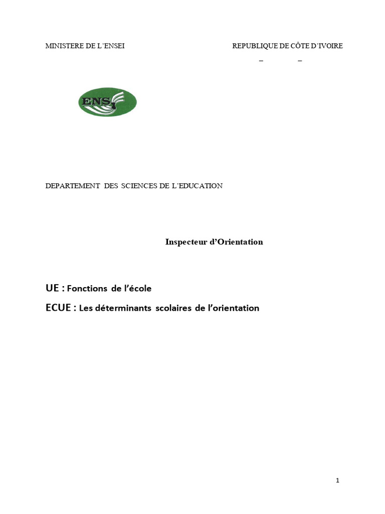 Décrochage scolaire en Côte d'Ivoire | PDF | Côte d'Ivoire | Adolescence
