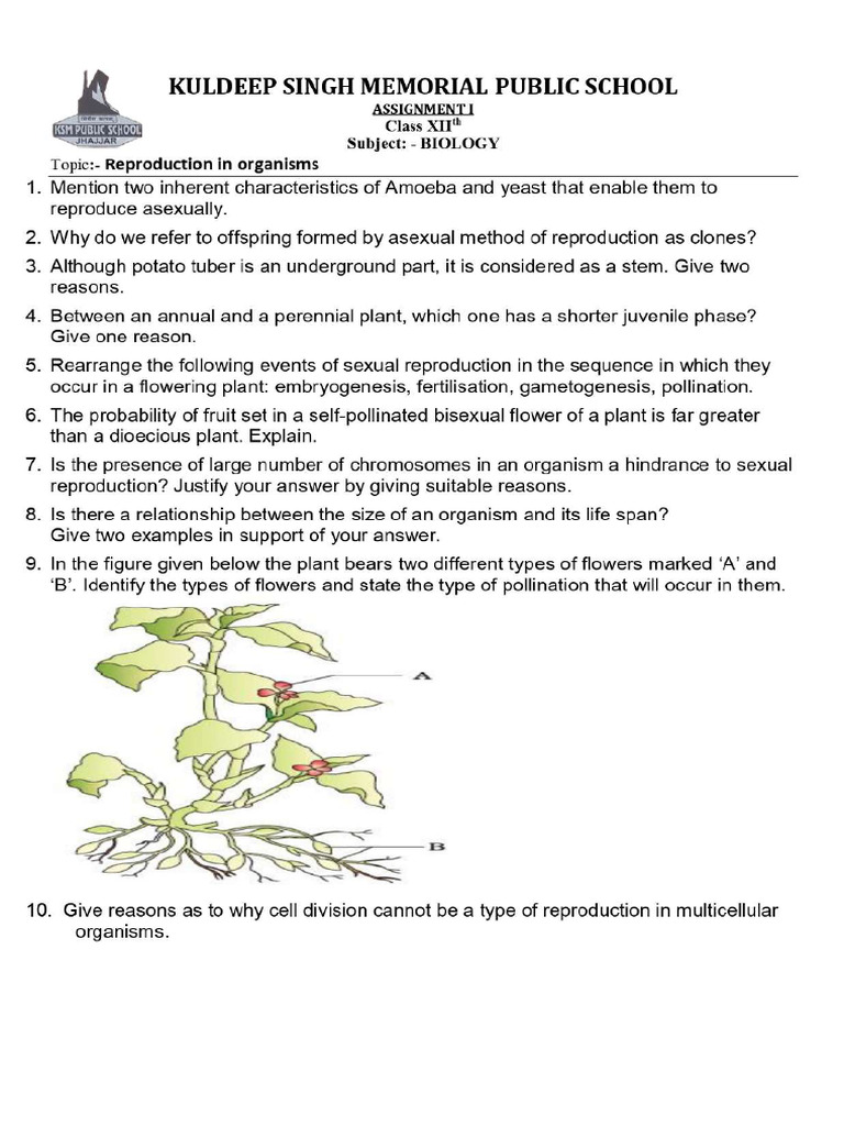 Assignment 1 Biology Page 0001 Pdf