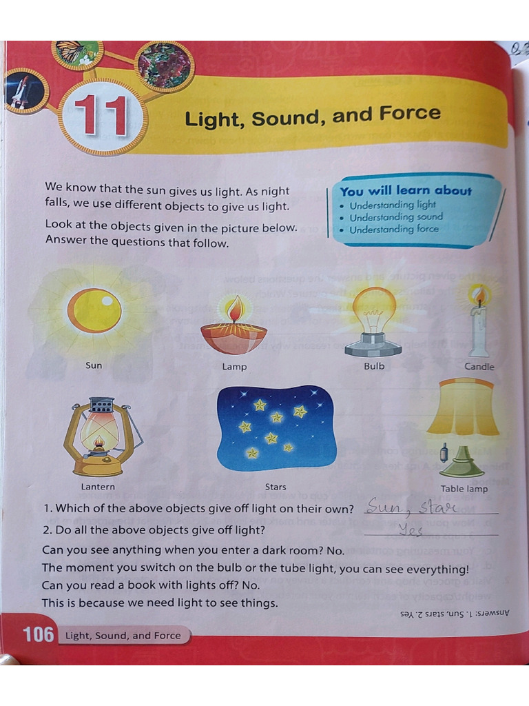 Science - CH 11 - Bookwork | PDF