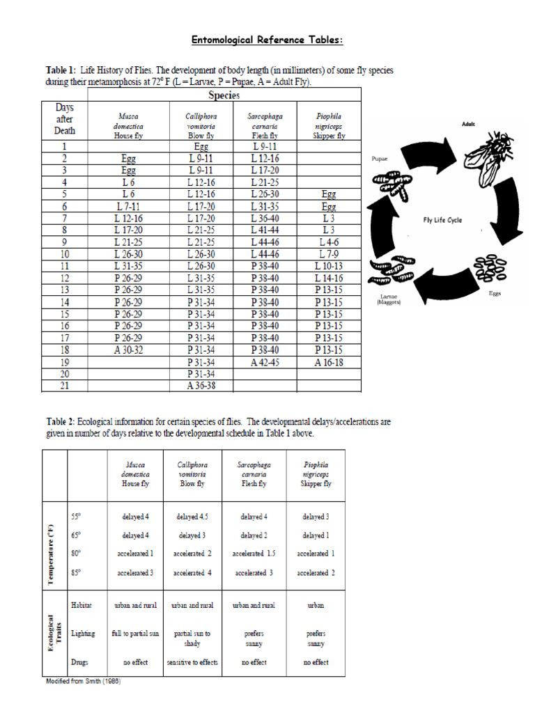 Rocklin - Reference Table Entomology | PDF