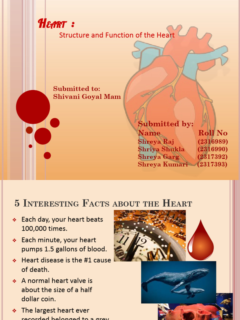 The Heart of The Matter | PDF | Heart Valve | Atrium (Heart)