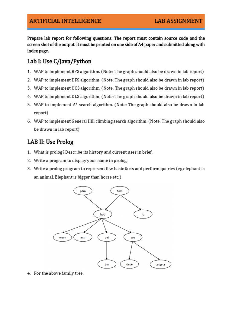 LABASSIGN | PDF | Theoretical Computer Science | Applied Mathematics