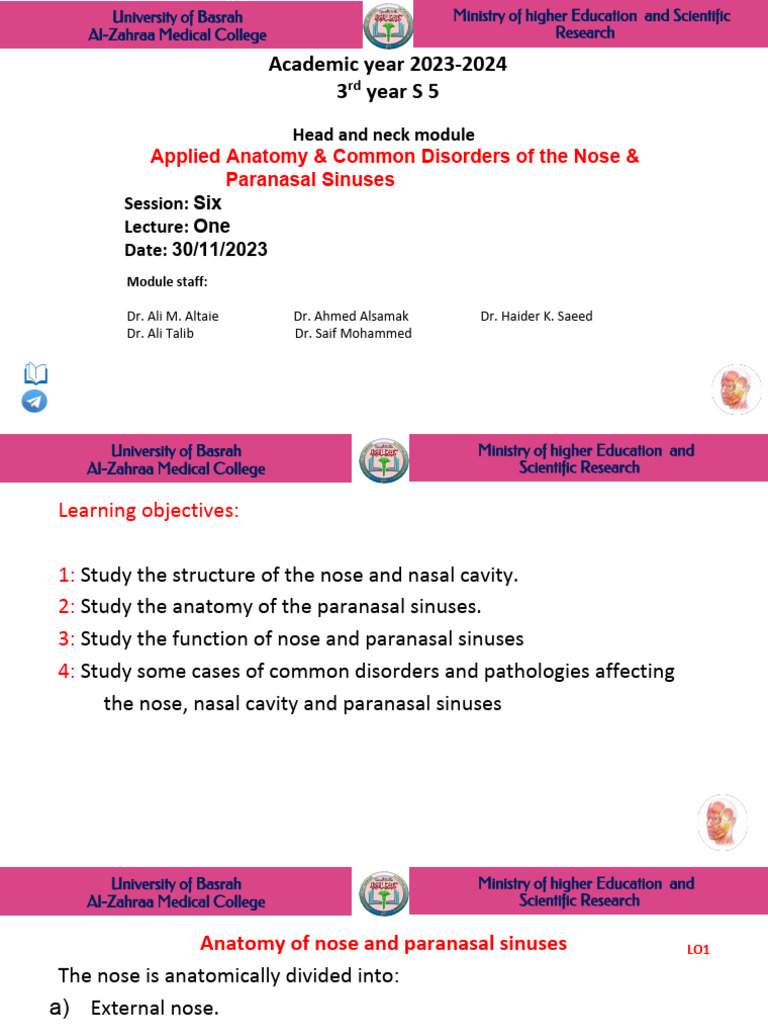 Anatomy of the Nose and Sinuses | PDF | Human Nose | Human Anatomy