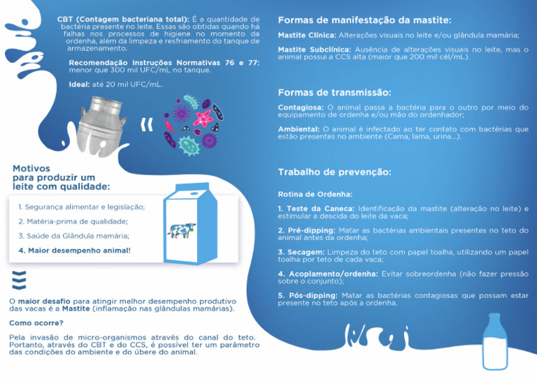 2 3 | PDF