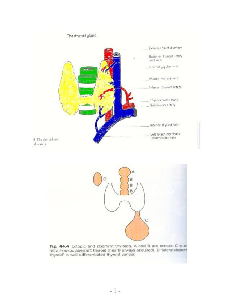 Goiter History Taking | PDF