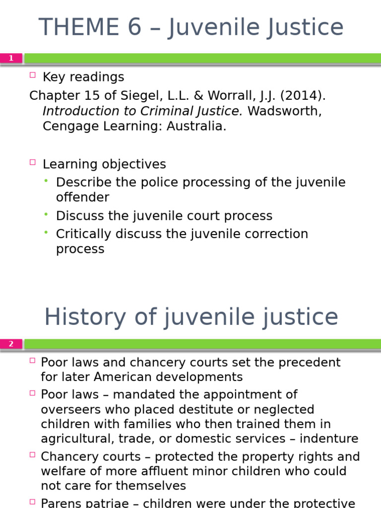 Understanding Juvenile Justice Processes | PDF | Juvenile Delinquency ...