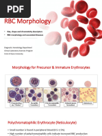 Red Blood Cell Morphology Guide | PDF | Anemia | Red Blood Cell