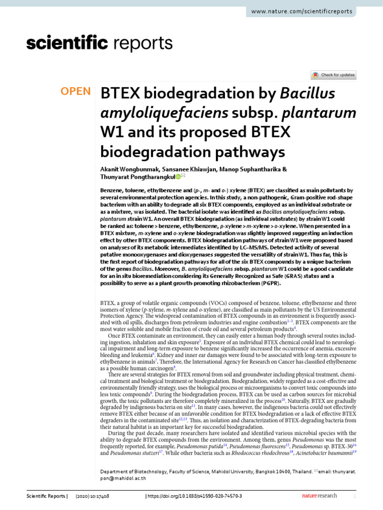 BTEX Biodegradation by Bacillus W1 | PDF | Benzene | Bacillus