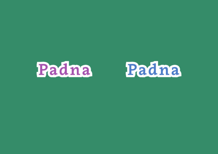 Padna Logo | PDF