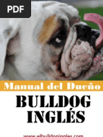 Download Manual del Bulldog Ingles by elbulldogingles SN80445338 doc pdf