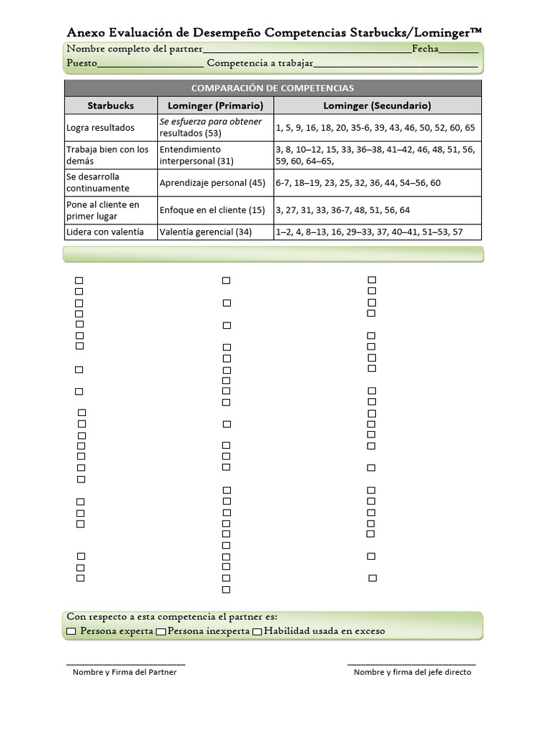 Competencias Lominger | PDF
