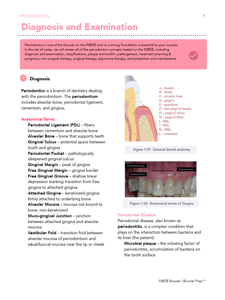 Key Concepts in Periodontics | PDF | Periodontology | Mouth