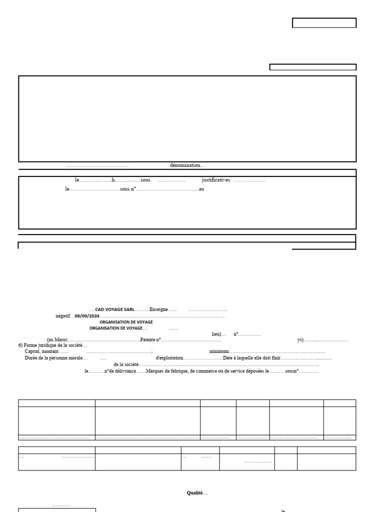 Modèle de déclaration d'immatriculation | PDF