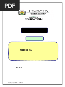 SEPEDI HL P2  GRADE 11  FINAL EXAM  OCT - NOV  2024 MG