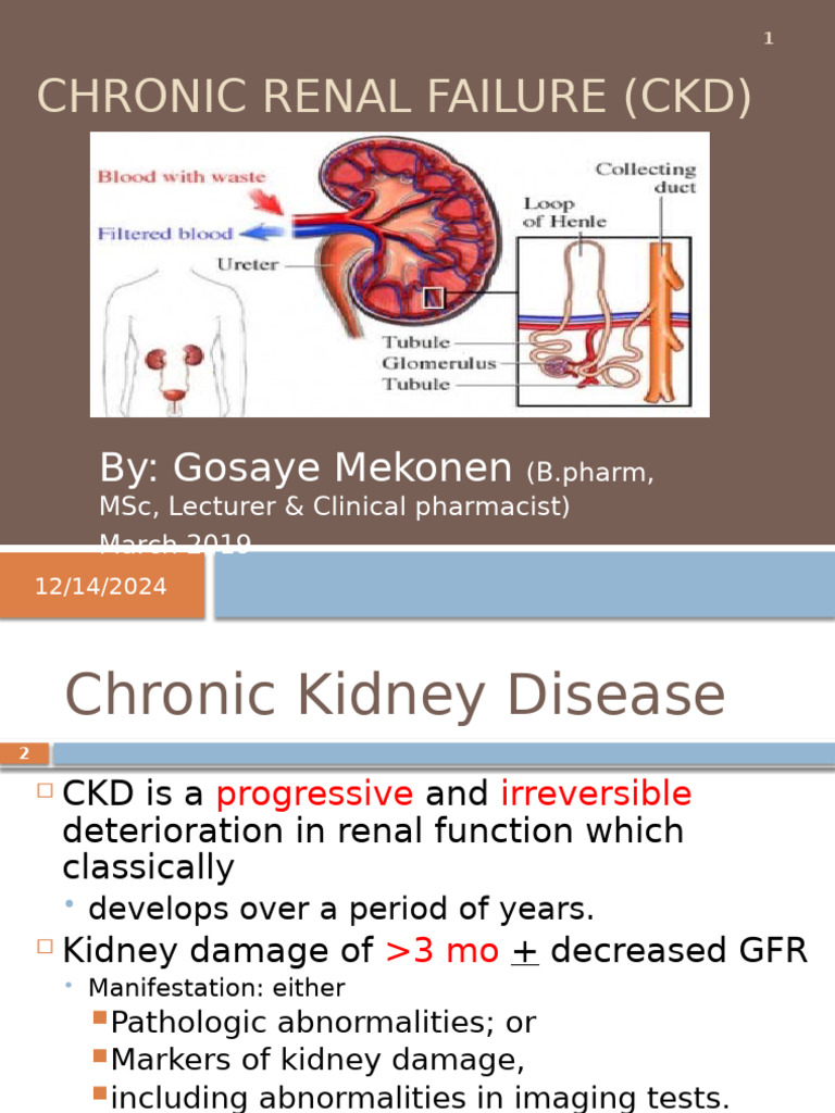 Chroinic Renal Failure 2019 | PDF | Chronic Kidney Disease | Kidney