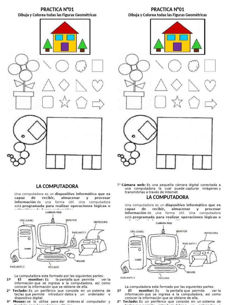 PRACTICA 1 CARDENAS | PDF | Periférico | Hardware de la computadora