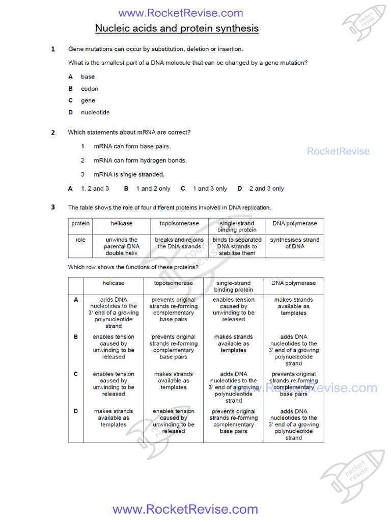 6 Nucleic Acids and Protein Synthesis QP | PDF